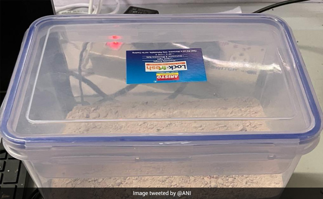 Afghan National Arrested With Heroin Worth Rs 2.4 Crore At Delhi Airport: Officials