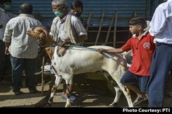 Cancel Bakrid Relaxations Or Will Go To Court, Doctors' Body Tells Kerala Cancel Bakrid Relaxations Or Will Go To Court, Doctors' Body Tells Kerala