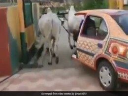 घूमने के लिए गाड़ी में बैठीं महिलाएं, ड्राइवर ने जैसे ही स्टार्ट की कार, अजीबोगरीब गाड़ी देख लोग हैरान, बोले- अरे ये क्या है? - देखें Video घूमने के लिए गाड़ी में बैठीं महिलाएं, ड्राइवर ने जैसे ही स्टार्ट की कार, अजीबोगरीब गाड़ी देख लोग हैरान, बोले- अरे ये क्या है? - देखें Video