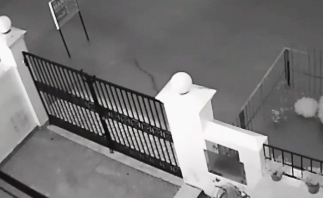 Watch: Snakes Seen Swimming Outside Flooded Gate After Gurgaon Rain