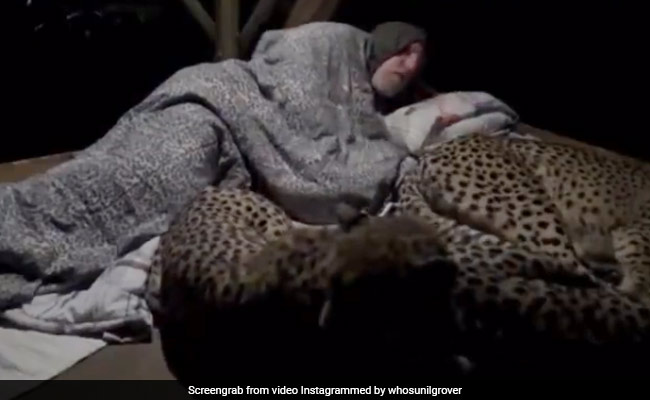 सोते हुए शख्स के पास अचानक पहुंचे खतरनाक चीते, फिर हुआ ऐसा- देखें Video