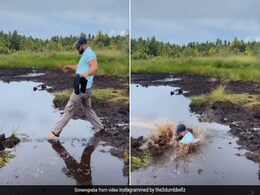 Viral Video: Husband Plunges Down Muddy Water As Wife Laughs Hysterically Viral Video: Husband Plunges Down Muddy Water As Wife Laughs Hysterically