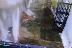 Video: Wall Collapses On People In Madhya Pradesh Jail, 22 Injured Video: Wall Collapses On People In Madhya Pradesh Jail, 22 Injured