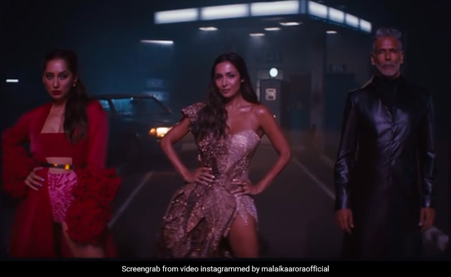 <I>Supermodel Of The Year 2</I> Promo: Malaika Arora, Milind Soman And Anusha Dandekar Are Back. Need We Say More?