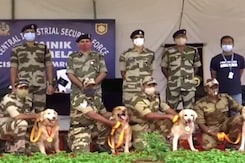 Farewell For Delhi Metro's 7 Sniffer Dogs After 10 Years Farewell For Delhi Metro's 7 Sniffer Dogs After 10 Years