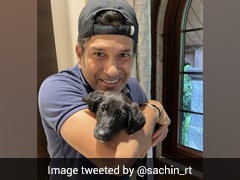 Meet Spike, Sachin Tendulkar's "New 'Paw'tner"