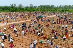 1 Million Saplings Planted In An Hour In Telangana In New World Record 1 Million Saplings Planted In An Hour In Telangana In New World Record