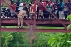 UP Girl's Body Found Hanging Off Bridge, Killed In Fight With Family: Cops UP Girl's Body Found Hanging Off Bridge, Killed In Fight With Family: Cops
