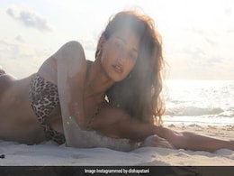 दिशा पटानी ने शेयर किया बीच किनारे का ग्लैमरस बिकिनी Photo, जमकर हो रहा वायरल दिशा पटानी ने शेयर किया बीच किनारे का ग्लैमरस बिकिनी Photo, जमकर हो रहा वायरल