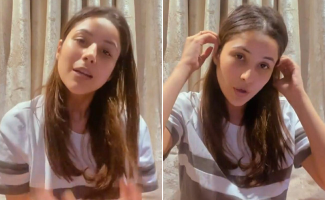 शहनाज गिल अंग्रेजी में हुईं एक्सपर्ट, हॉलीवुड सिंगर की तरह गाया इंग्लिश गाना, देखें वायरल Video