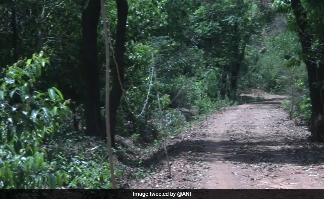 Man Buys 21-Acre Barren Land, Converts It Into Forest In Karnataka
