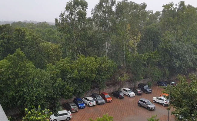 Rain In Parts Of Delhi Brings Relief From Intense Heat Wave