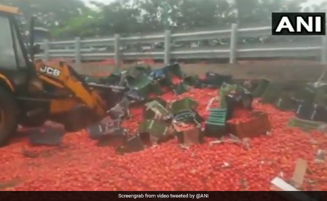 महाराष्ट्र सरकार टमाटर की खरीद करे, नुकसान होने पर केंद्र करेगा मदद: भारती पवार