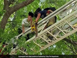 बिल्ली को बचाने के लिए पेड़ पर चढ़े शख्स ने खुद को ही मुसीबत में डाला, फिर फायरफाइटर्स ने ऐसे बचाई जान - देखें Video बिल्ली को बचाने के लिए पेड़ पर चढ़े शख्स ने खुद को ही मुसीबत में डाला, फिर फायरफाइटर्स ने ऐसे बचाई जान - देखें Video