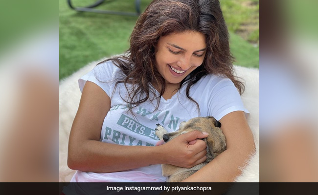 A Pic From Priyanka Chopra's "Quarantine Life" In London, With Diana By Her Side