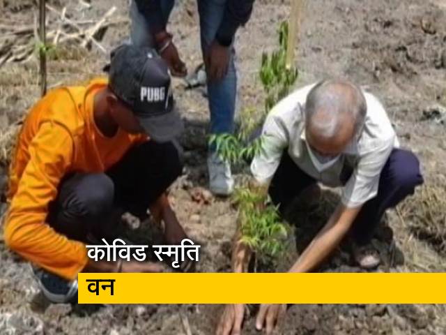 कोरोना से जान गंवाने वालों की याद में भोपाल में बनेगा कोविड स्मृति वन