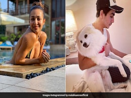 Malaika Arora ने बेटे अरहान और डॉग कैस्पर के साथ शेयर की यह खूबसूरत फोटो, बोलीं- मेरा सबकुछ... Malaika Arora ने बेटे अरहान और डॉग कैस्पर के साथ शेयर की यह खूबसूरत फोटो, बोलीं- मेरा सबकुछ...