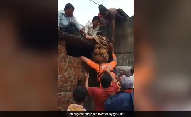 VIDEO: महाराष्ट्र में तबाही के बीच मसीहा बना NDRF जवान, अपनी पीठ को सीढ़ी बना महिला को बचाया