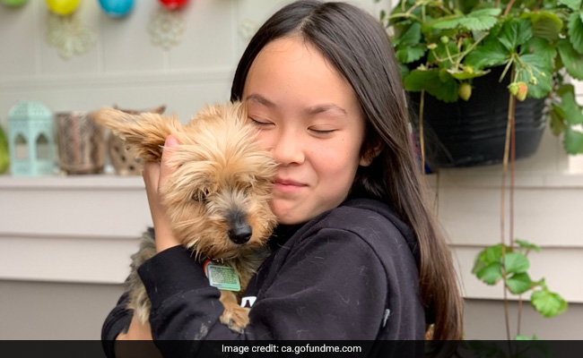 Watch: Brave Dog Saves 10-Year-Old Girl From Coyote Attack