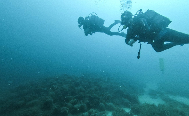 Divers Discover Underwater Hospital And Gravestone Off Florida Keys