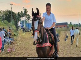 Bhagyashree ने घुड़सवारी करते हुए शेयर कीं Photos, स्टाइल देख फिदा हुए फैन्स Bhagyashree ने घुड़सवारी करते हुए शेयर कीं Photos, स्टाइल देख फिदा हुए फैन्स