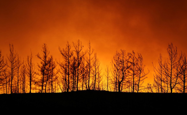 Four Killed As Wildfires Sweep Turkey, Villages Evacuated