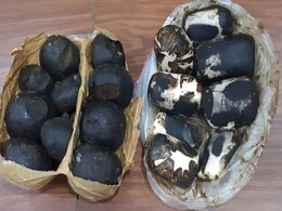 मुंबई NCB ने एक करोड़ रु. की ड्रग्स जब्त कर महिला को पकड़ा, शक न हो इसलिए महिला के साथ था छोटा बच्चा मुंबई NCB ने एक करोड़ रु. की ड्रग्स जब्त कर महिला को पकड़ा, शक न हो इसलिए महिला के साथ था छोटा बच्चा