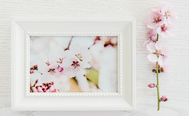 Store Your Memories In Stylish Photo Frames To Add A Personal Touch To Your Homes