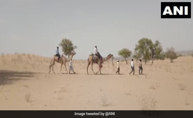 तपती गर्मी में भी कमज़ोर नहीं पड़ा शिक्षकों का हौंसला, ऊंट पर बैठकर घर-घर जाकर दे रहे हैं बच्चों को शिक्षा - देखें Video