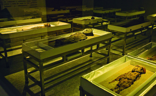 Chile's Ancient Mummies Added To UN Heritage List