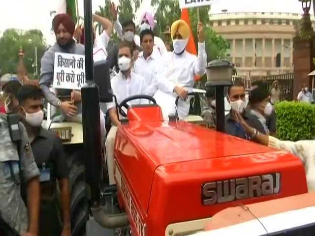 Rahul Gandhi Rides Tractor, Says "Brought Farmers' Message To Parliament"