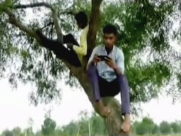 Students Climb "Network Tree" In Maharashtra Village For Online Classes Students Climb "Network Tree" In Maharashtra Village For Online Classes