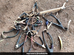 बच्चों ने खाई गुलेल छोड़ने की कसम, 68 गांवों के बच्चे अबतक 590 गुलेल कर चुके हैं सरेंडर, जानिए क्या है वजह ? बच्चों ने खाई गुलेल छोड़ने की कसम, 68 गांवों के बच्चे अबतक 590 गुलेल कर चुके हैं सरेंडर, जानिए क्या है वजह ?