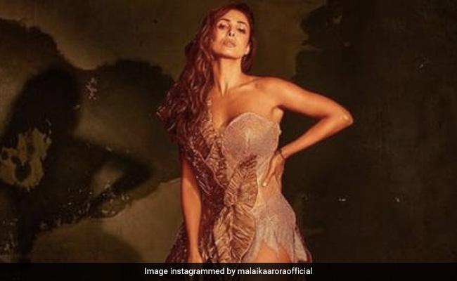 Malaika Arora के लेटेस्ट फोटोशूट ने जीता फैन्स का दिल, ग्लैमरस अंदाज इंटरनेट पर हुआ वायरल