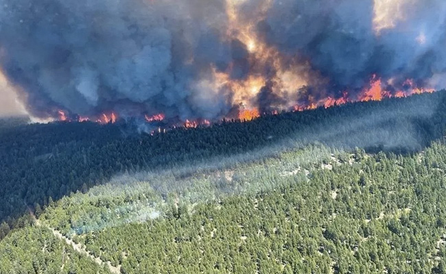 Fires Char Canada Town Amid Record-Breaking Temperatures, 1,000 Evacuated