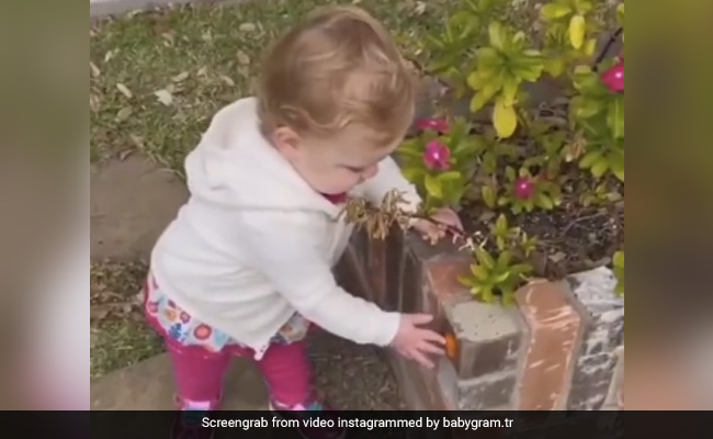 Corona काल में पैदा हुई बच्ची को लगी खास आदत, हर चीज़ को हैंड सैनिटाइज़र समझकर करती है ये काम, लोग बोले- "Covid era Baby"