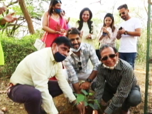 'Tree for Life', A Campaign By DSB Foundation