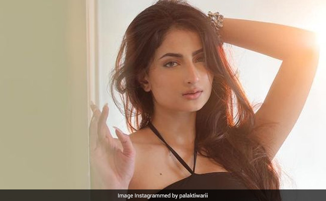 पलक तिवारी ने ग्लैमरस अंदाज में कराया फोटोशूट, Video में लगीं काफी आकर्षक