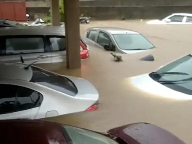 Video: Cars Submerged In Water As Heavy Rain Leaves Ranchi Roads Flooded