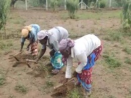 अब Drones से होगा फसलों पर छिड़काव : गरुड़ एयरोस्पेस 1000 ड्रोन का कर रहा निर्माण अब Drones से होगा फसलों पर छिड़काव : गरुड़ एयरोस्पेस 1000 ड्रोन का कर रहा निर्माण