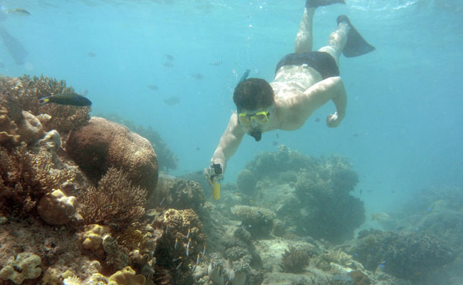 Great Barrier Reef Suffers "Widespread" Coral Bleaching, Again