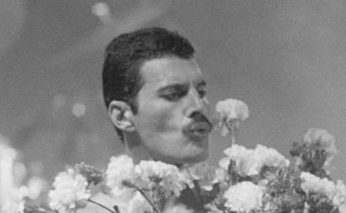 Freddie Mercury's 'Secret Daughter' Dies Aged 48 After Long Battle With Rare Cancer