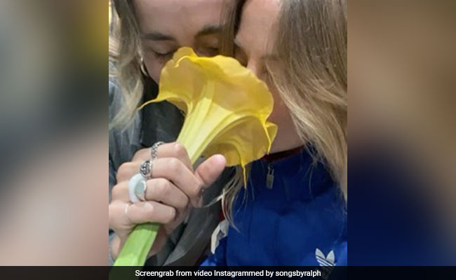 They Filmed Themselves Sniffing A Flower. It Contained "World's Scariest Drug"