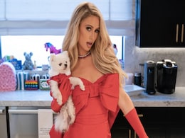 Netfilx Web Series: पेरिस हिल्टन अनोखे अंदाज में देंगी कुकिंग टिप्स, देखें स्टाइल क्वीन का Video Netfilx Web Series: पेरिस हिल्टन अनोखे अंदाज में देंगी कुकिंग टिप्स, देखें स्टाइल क्वीन का Video