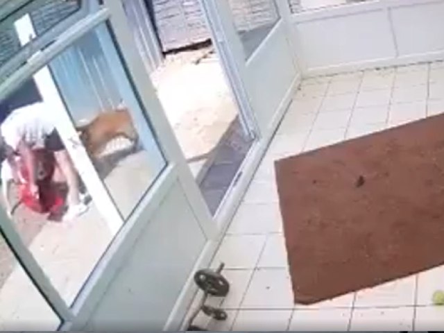 कुत्ते ने खाना खाने वाले बर्तन के होल्डर में फंसा ली गर्दन