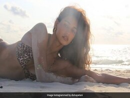 Did Someone Say Beach? Here's A Stunning Throwback Pic Of Disha Patani Did Someone Say Beach? Here's A Stunning Throwback Pic Of Disha Patani