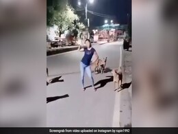 कौन है ये 'बसंती' और क्यों नाच रही है कुत्तों के सामने ? इंटरनेट पर जमकर वायरल हुआ ये मजेदार VIDEO कौन है ये 'बसंती' और क्यों नाच रही है कुत्तों के सामने ? इंटरनेट पर जमकर वायरल हुआ ये मजेदार VIDEO
