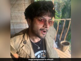 Seekh Kebab, Bhurji And More: All About Ali Fazal's Delish Weeknight Dinner