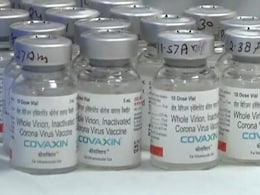 Covishield नंतर Covaxin चे साईड इफ्केट्स उघड, वाचा काय आहे धक्कादायक गौप्यस्फोट Covishield नंतर Covaxin चे साईड इफ्केट्स उघड, वाचा काय आहे धक्कादायक गौप्यस्फोट