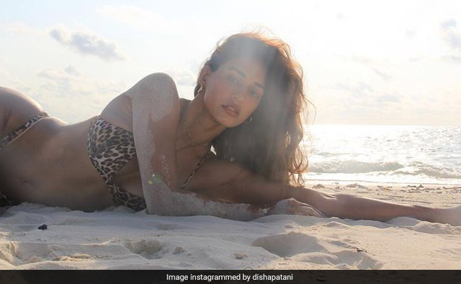 Disha Patani In A Leopard Print Bikini Teaches Us A Lesson Or Two On Styling Bikinis Right